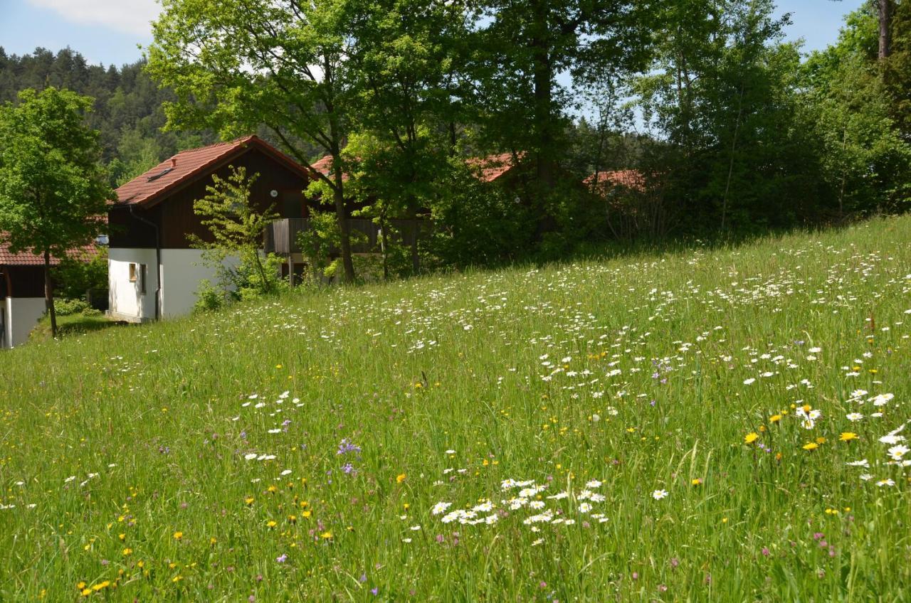 Ferienwohnung Wildgatter Grafenwiesen Eksteriør billede
