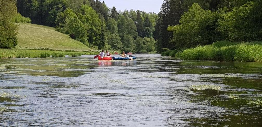 Ferienwohnung Wildgatter Grafenwiesen Eksteriør billede